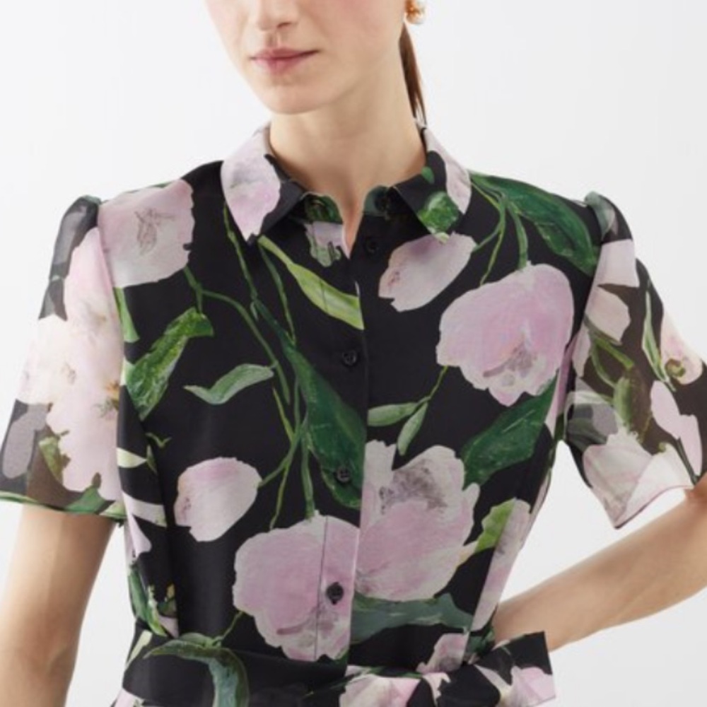 Carolina Herrera Organza Blouse, US 4